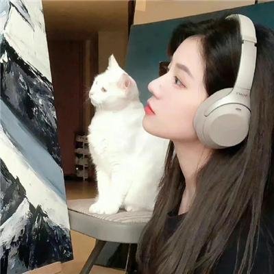 无敌猎手 在线观看